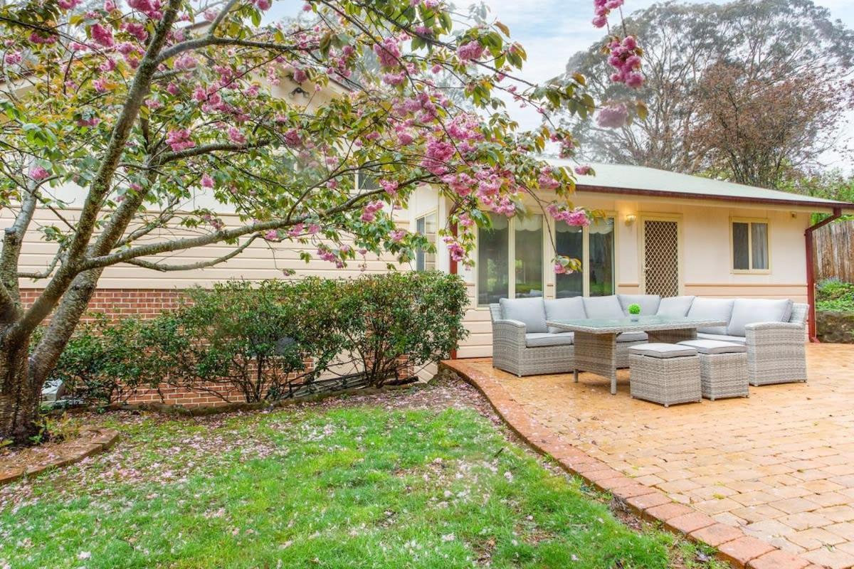 Stunning Katoomba Home With Lush Garden&Playground Buitenkant foto
